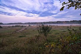 Foreland with fog on grass and heath in Denmark, in front of dunes. Mystical atmosphere by Martin Köbsch