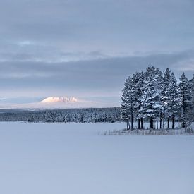 Frozen landscape. by Marco Lodder