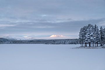 Bevroren landschap. van Marco Lodder