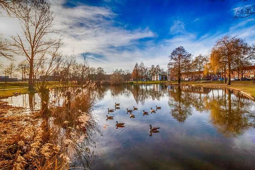 Venenpark par Laurens MORWARIN