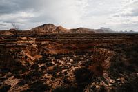 Desertscape