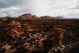 Desertscape von The Wild Scribe Prints