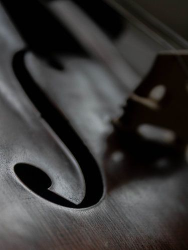 Violin Closeup 04 | Picture