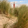 Phare de Cocksdorp, à Texel sur Caroline Drijber Guérain