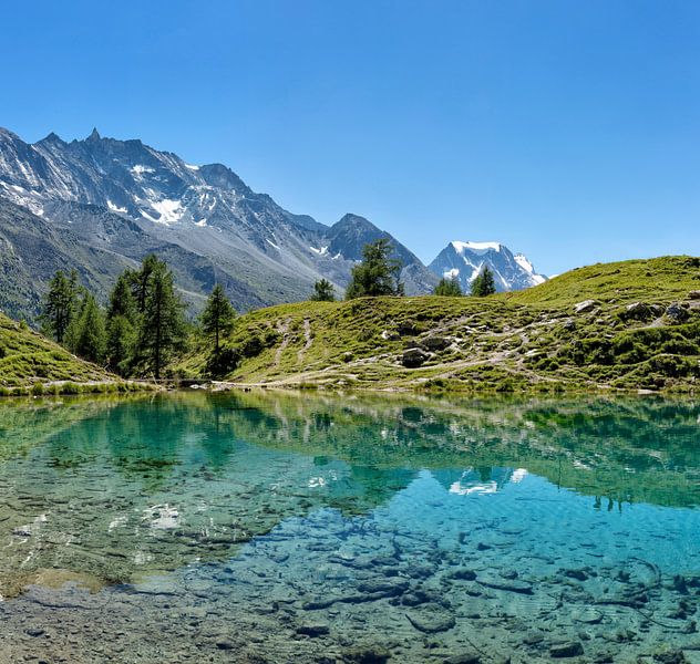 Lac Bleu, La Gouille, Val d’Herens, Wallis, Valais, Zwitserland van Rene van der Meer