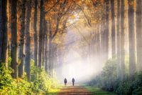 Wandelaars in de mist