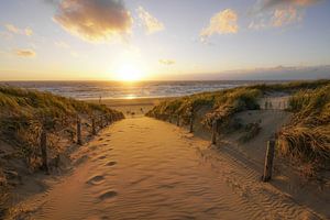 Strandleven! sur Dirk van Egmond