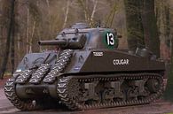 Sherman Tank WW2 by Brian Morgan thumbnail