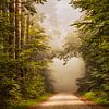 Le cœur vert sur Lars van de Goor