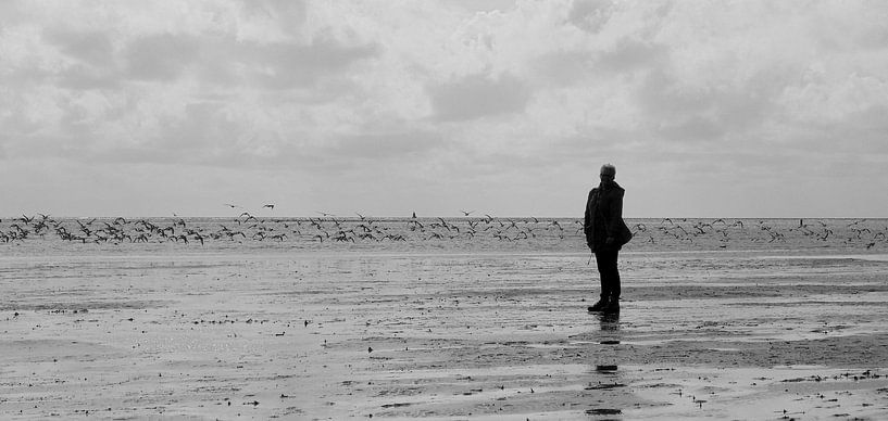 Natuur by Koos Iperen