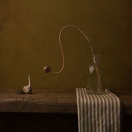 Garlic by Carolien van Schie