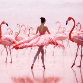 Ballet in Pink by Arjen Roos