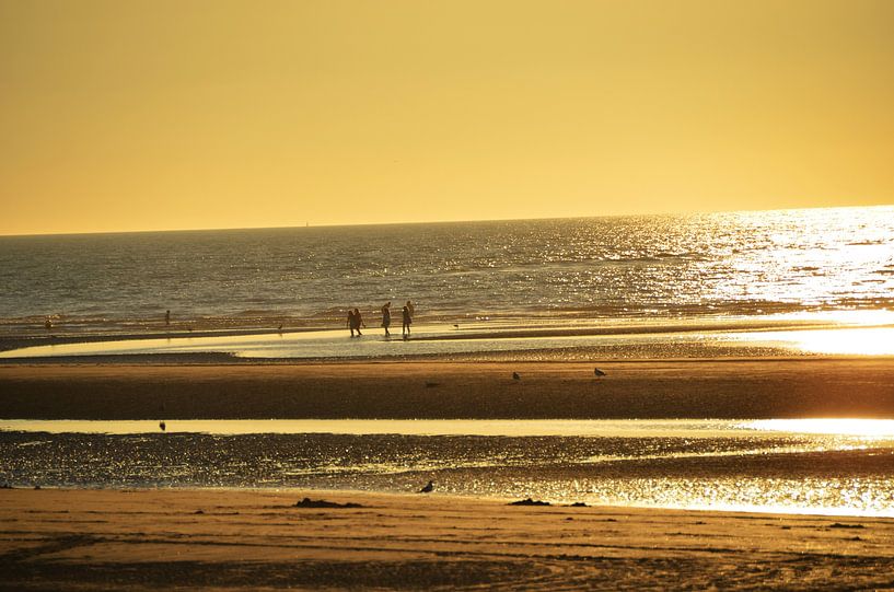 Golden Hour by Kris Van den Bossche