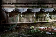 where is the plumber when you need him? by Steve Mestdagh thumbnail
