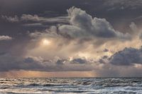 Texel
