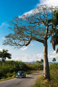 Pinar del Rio, Cuba