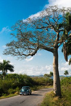 Pinar del Rio, Cuba by Frank Laurens