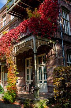 Die Natur ist schön