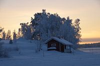 Lapland met schemer