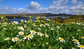 Ardales, Spain by Jarne Buttiens