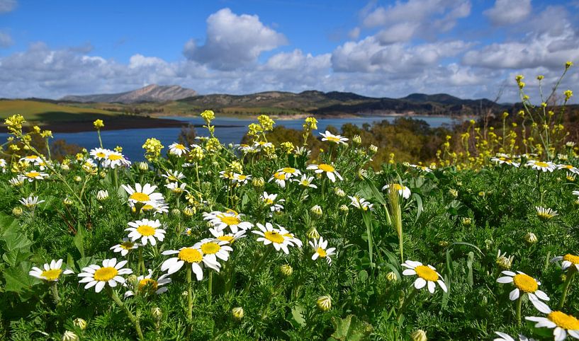 Ardales, Spain by Jarne Buttiens
