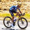 Goldene Remco Evenepoel in der Sonne von FreddyFinn