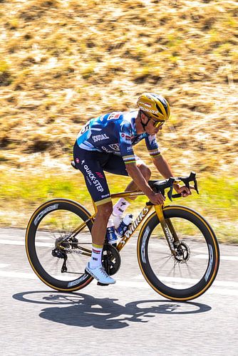 Golden Remco Evenepoel in the sun