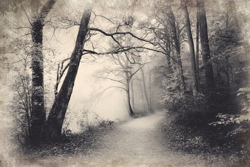Mistig Bospad - Zwart Wit Mysterieuze Foto