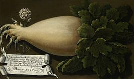 A Giant Radish, anonymous