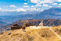 Kaf van het koren scheiden in Peru