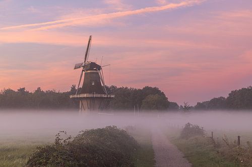 Molen De Star met roze lucht