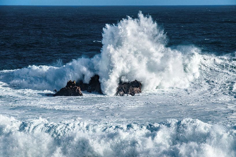 Ferocious Wave near Cape Town by Discover Dutch Nature