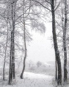 Stillness