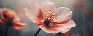 Pastel Pink Flower