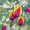 Tulpen in mijn tuin van Maria Meester