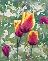 Tulpen in meinem Garten