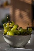 Grapevine