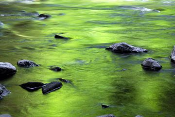 Stones in the river bed by Jürgen Wiesler