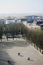 Blick auf die Bosschenparade vom Dach des Sint-Jan. von mooidenbosch Miniaturansicht