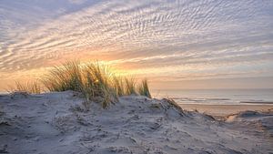 Kust met duin strand en de Noordzee van eric van der eijk