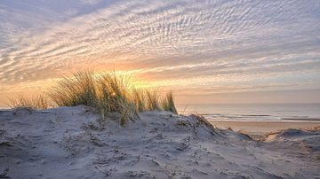 Côte avec plage de dunes et mer du Nord sur eric van der eijk