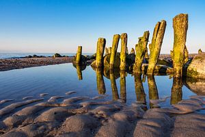 Buhnen an der Küste der Ostsee bei Kühlungsborn