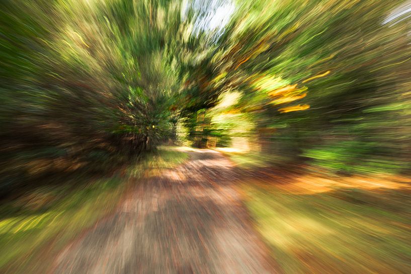 Den Treek-Wald von Erwin Schenk