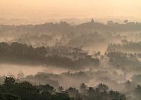 Borobudur temple during sunrise