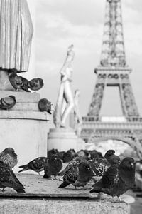 Trocadéro Paris