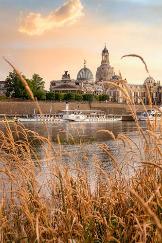 Goldene Stunde in der Dresdner Altstadt