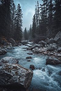 Abenteuer Natur