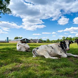 des vaches dans la prairie sur de l'herbe verte et de beaux nuages. sur Marco Hoogma