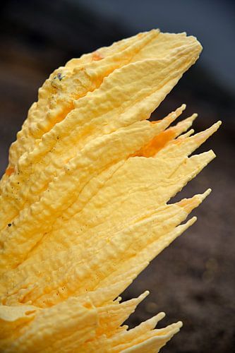 Minerale kant gemaakt van ruwe vulkanische zwavel