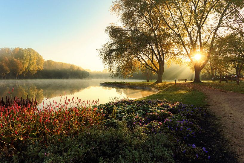 Ein Spaziergang durch den Park von Cho Tang